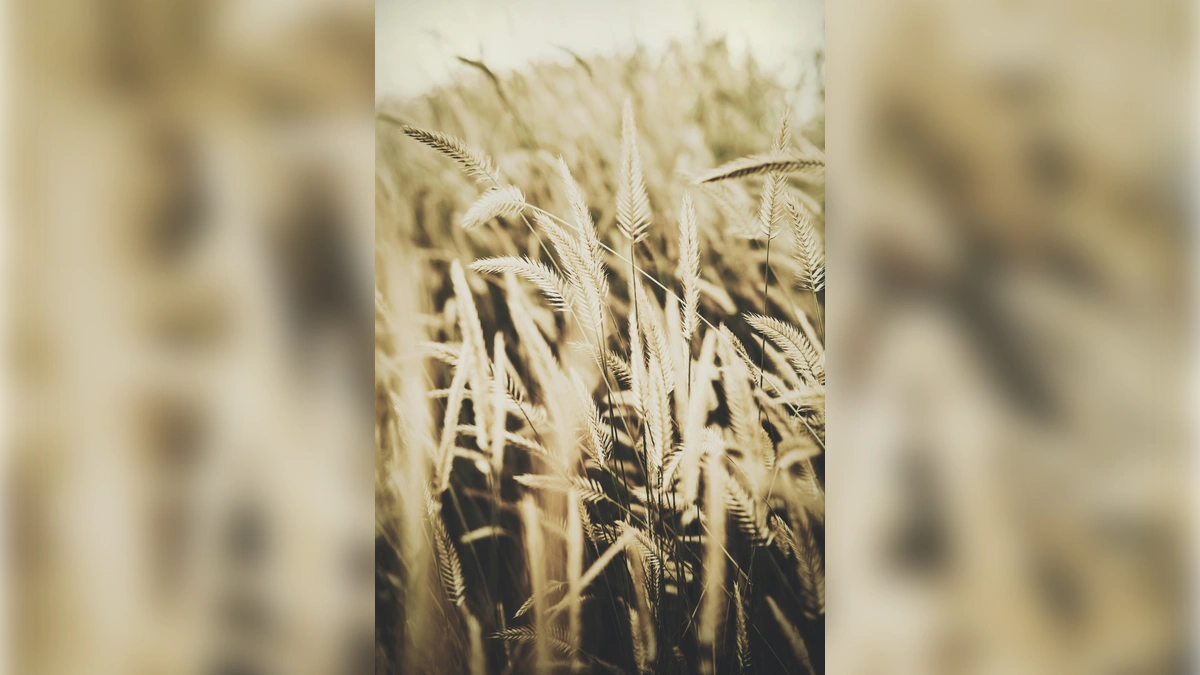 888 Angel Number Meaning in Love