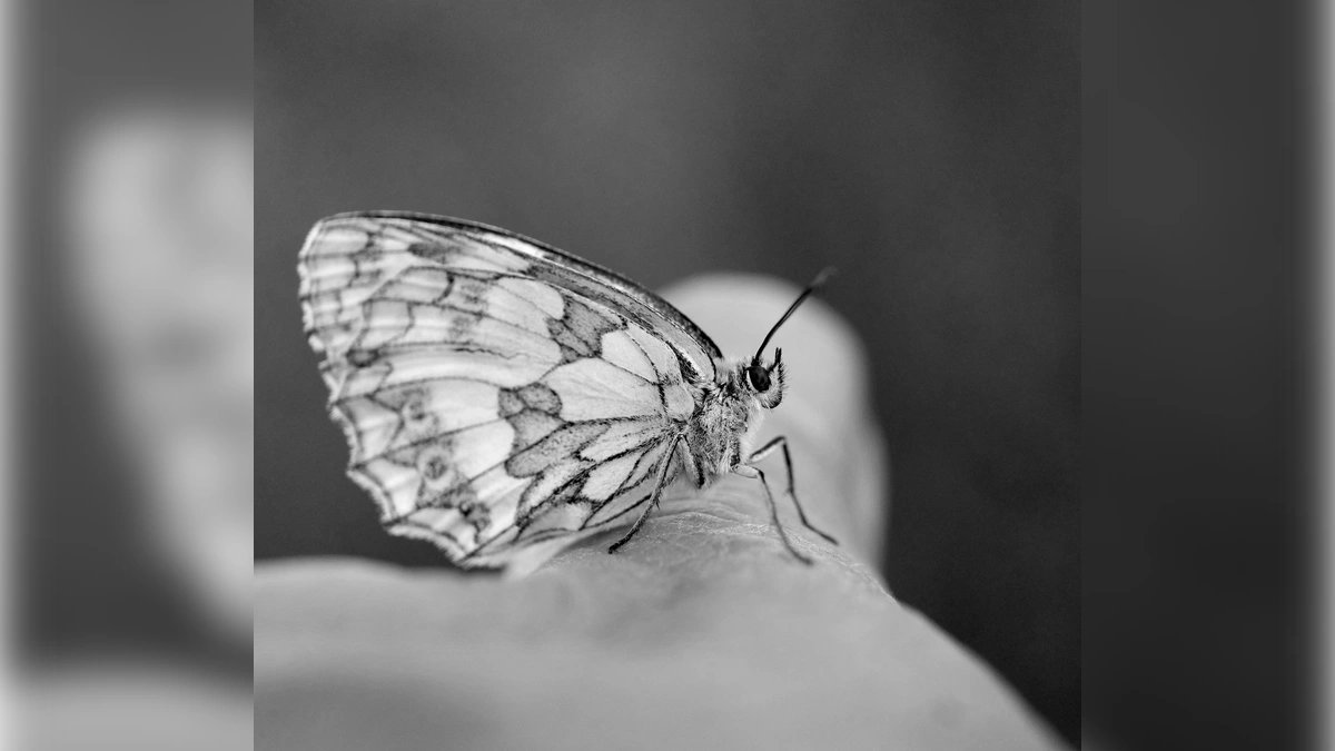 Angel Numbers When You Feel Stuck