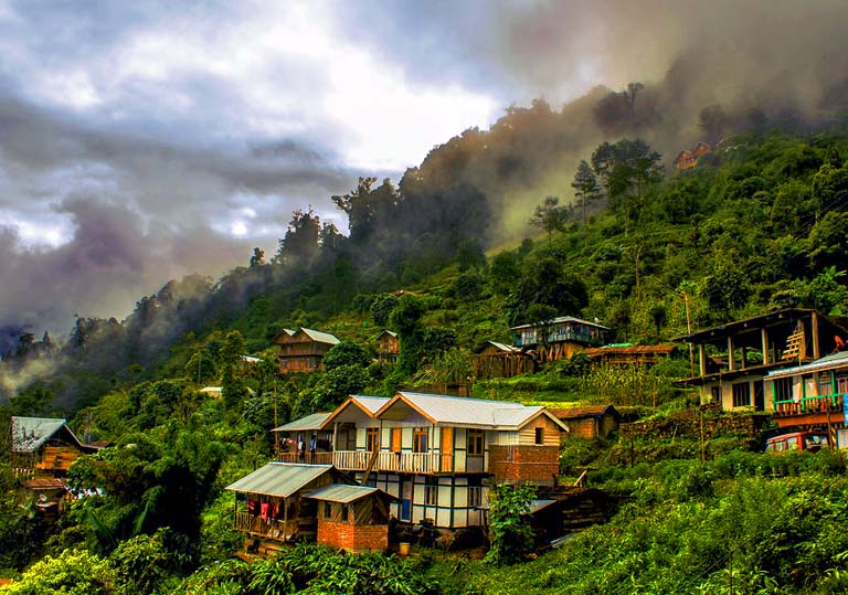 Dooars West Bengal in October