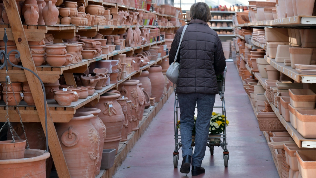 Best Pots for Indoor Plants