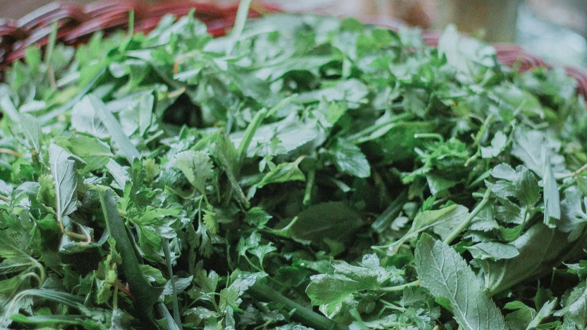 Grow Kitchen Herbs Indoors